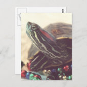 Christmas Turtle ポストカード (正面/裏面)