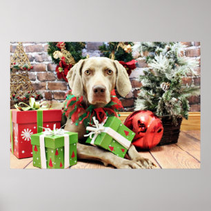 Christmas - Weimaraner - Lucy ポスター