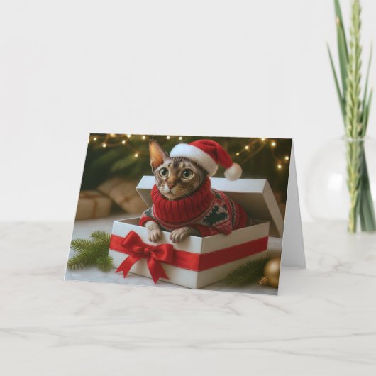 Christmas Whiskers & Wrinkles Card シーズンカード (正面)