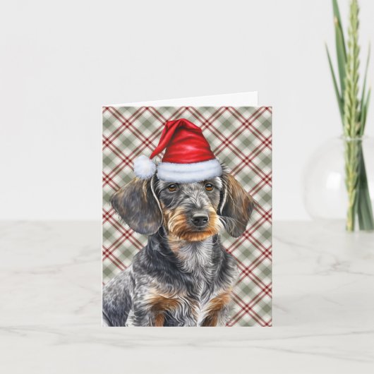 Christmas Wirehair Dachshund and Holiday Plaid シーズンカード (正面)