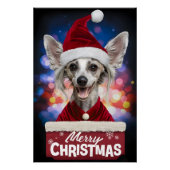 Christmas with Chinese Crested Dog ポスター (正面)