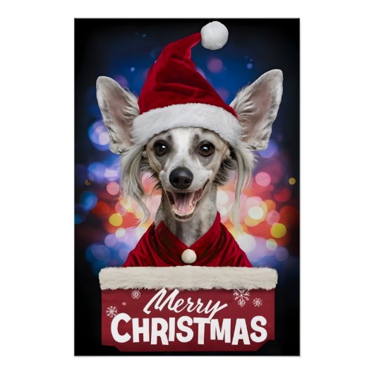 Christmas with Chinese Crested Dog ポスター (正面)