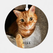 Christmastime Cat Pet記念写真 メタルオーナメント (正面)