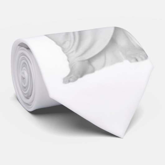 Christusのタイ ネクタイ (ロール)