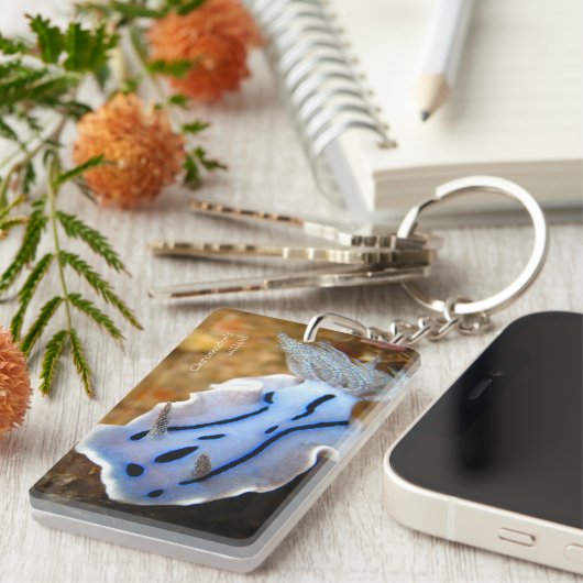 Chromodorisのwillaniの長方形(両面の) Keych キーホルダー (正面右)