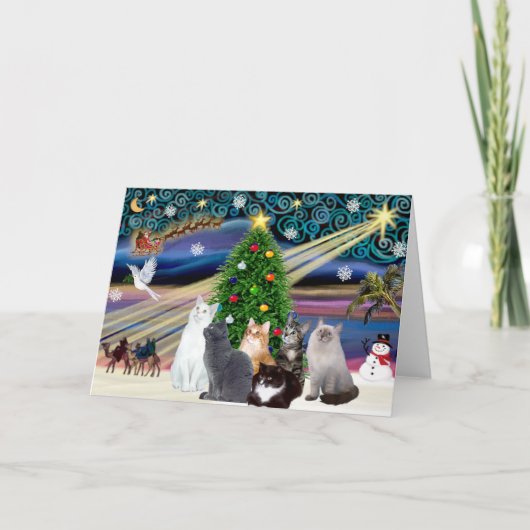 Chrstmas魔法- 6匹の猫（様） シーズンカード (正面)