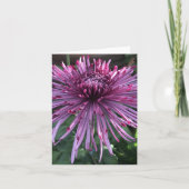 Chrysanthemum サンキューカード (正面)