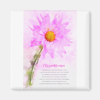 Chrysanthemum マグネット