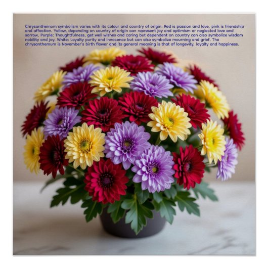 Chrysanthemum Symbolism ポスター (正面)