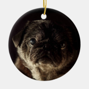 Chubbs黒いオーナメントのWampugの黒 セラミックオーナメント
