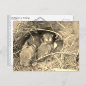 Chubby Bunny Challenge - ポストカード (正面/裏面)