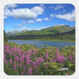 Chugach Mountains – エンベロープシール スクエアシール
