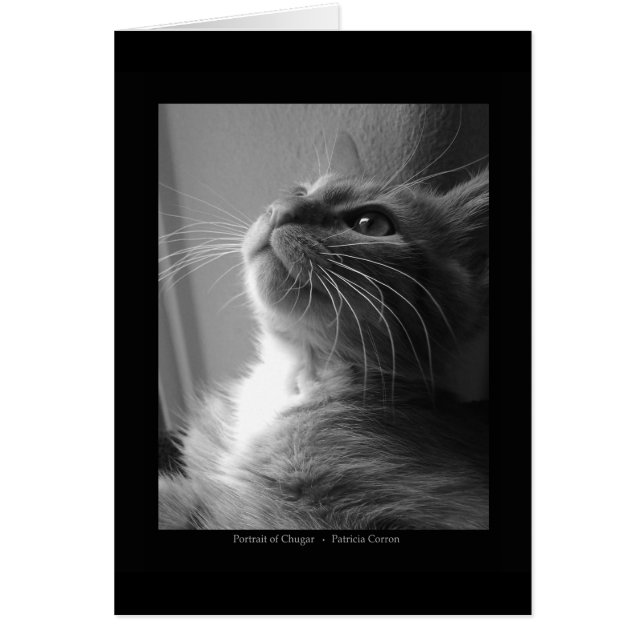 Chugarのポートレート (正面)