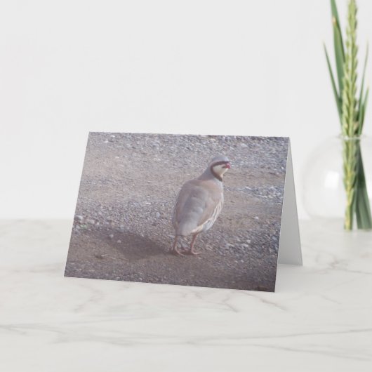 Chukarのクリスマスカード シーズンカード (正面)