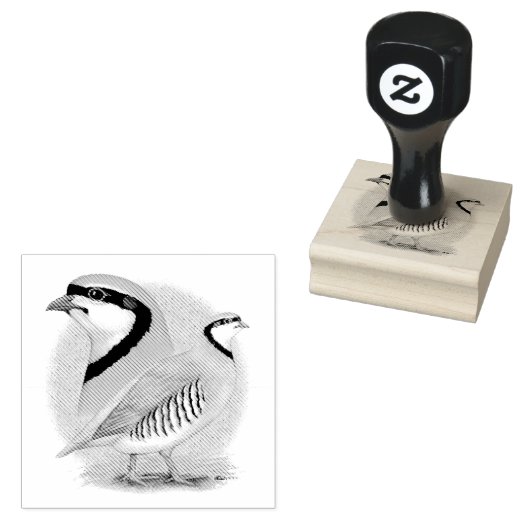 Chukar Partridge Combo ラバースタンプ (押印)