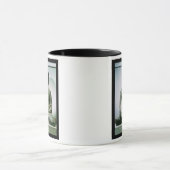 Ch'ungung NI (鉄)からの着席させたSakyamuni仏 マグカップ (中央)