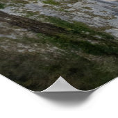 Church of Madonna della Corona ポスター (角)