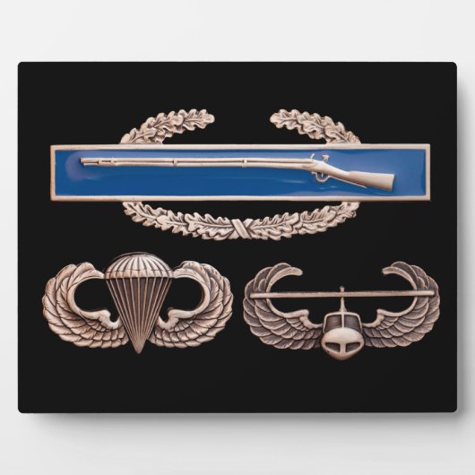 CIB空挺空襲 フォトプラーク (正面)