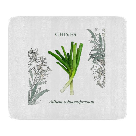 Ciboulette — Allium schoenoprasum カッティングボード (正面)
