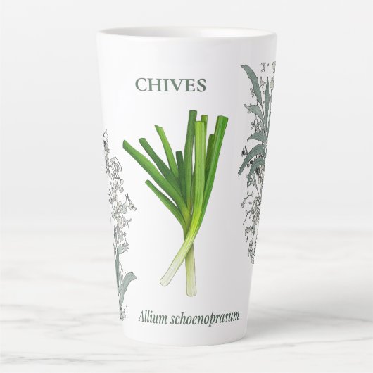 Ciboulette — Allium schoenoprasum カフェラテマグ (正面)