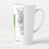 Ciboulette — Allium schoenoprasum カフェラテマグ (右)