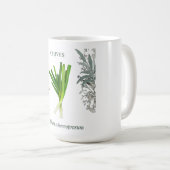 Ciboulette — Allium schoenoprasum コーヒーマグカップ (正面右)