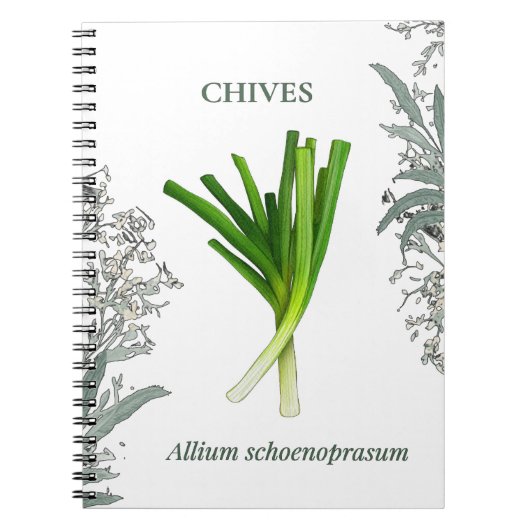Ciboulette — Allium schoenoprasum ノートブック (正面)