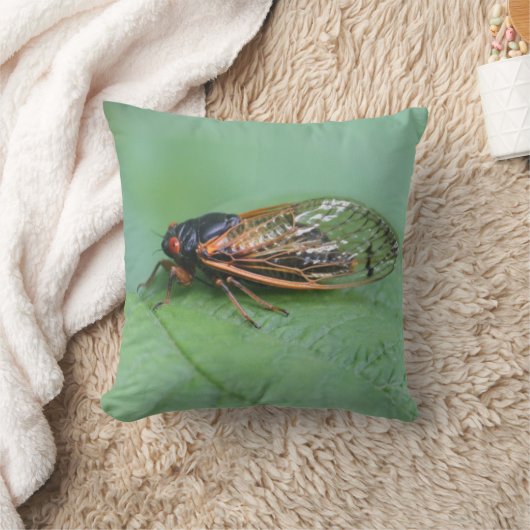 Cicada写真 クッション (ブランケット)