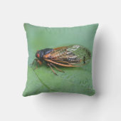 Cicada写真 クッション (裏面)