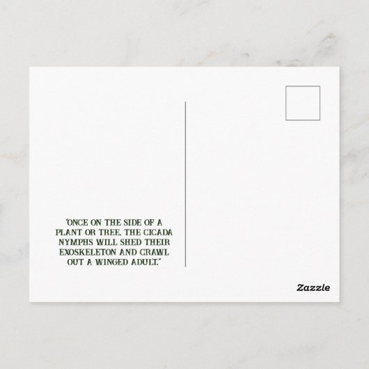 Cicada – はがき (裏面)