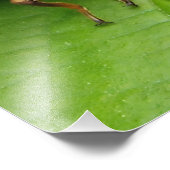 cicada and shell フォトプリント            (角)