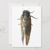 Cicada Bug、昆虫の写真パーソナライズされた 招待状 (裏面)