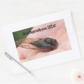 Cicadapocolypse 2024 長方形シール (封筒)