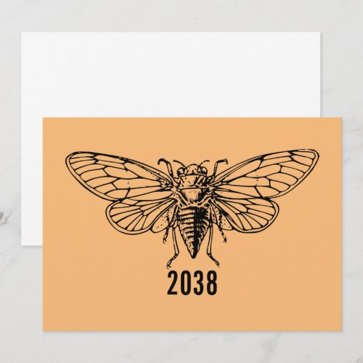Cicadas 2038への招待 招待状 (正面/裏面)
