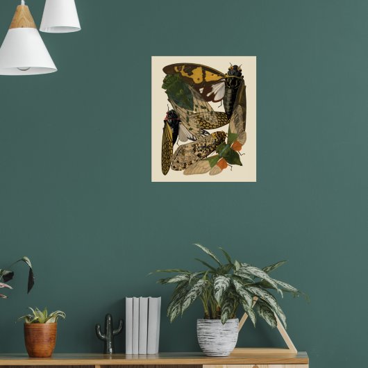 Cicadas Insects Vintage 1929 Illustrations ポスター (リビング1)