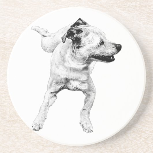 Cider Table, Cheerful Pivot コースター (正面)