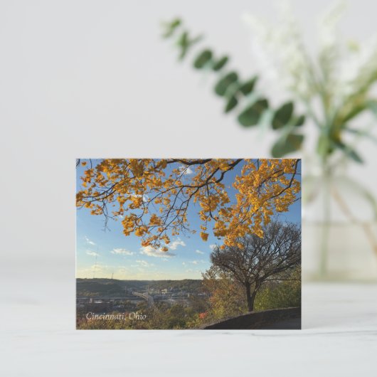 Cincinnati Park View Postcard ポストカード (スタンド正面)