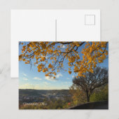 Cincinnati Park View Postcard ポストカード (正面/裏面)