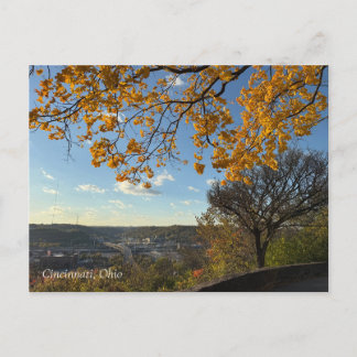 Cincinnati Park View Postcard ポストカード