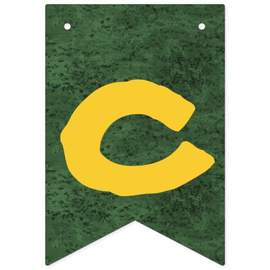 Cinco Deメーヨーのフェスタの旗布の旗の旗 バンティングフラッグ (第2の旗)