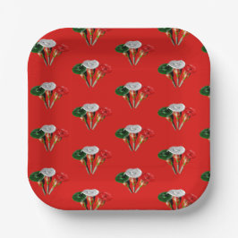 Cinco de mayo，フィエスタメキシコ紙プレート ペーパープレート