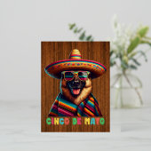Cinco De Mayo German Shepherd With Poncho Somberro 箔シーズンポストカード (立ち正面)
