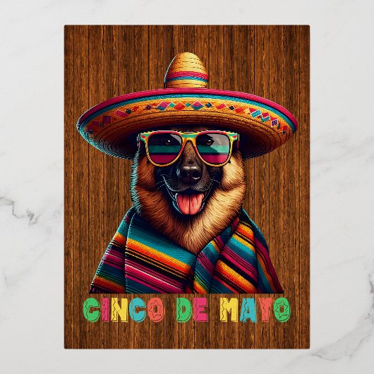 Cinco De Mayo German Shepherd With Poncho Somberro 箔シーズンポストカード (正面)