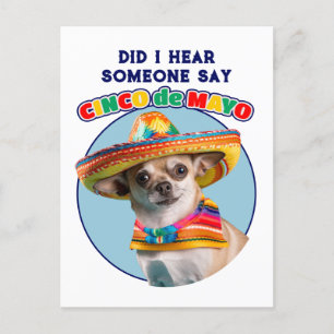 Cinco De Mayo Sombrero Chihuahuaを聞いた ポストカード