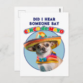 Cinco De Mayo Sombrero Chihuahuaを聞いた ポストカード (正面/裏面)