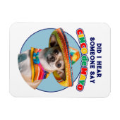 Cinco De Mayo Sombrero Chihuahuaを聞いた マグネット (横)
