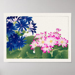 Cineraria by谷上湖南 ポスター