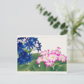 Cineraria by谷上湖南 ポストカード (スタンド正面)