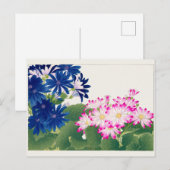 Cineraria by谷上湖南 ポストカード (正面/裏面)