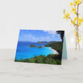 Cinnamon Bay Panorama, St. John, US.V.I. カード (黄色い花)
